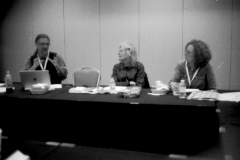 SAS-Huntington-Mtngs2016-BWS-03